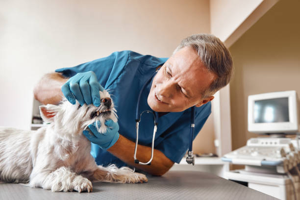 Best Emergency Dentist for Special Needs Patients in Southern Pines, NC