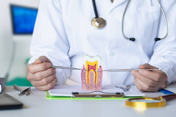 Best Mobile Emergency Dentist in Southern Pines, NC